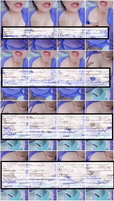 13091256862