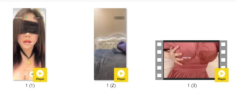25080131387