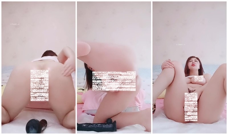 14044703724