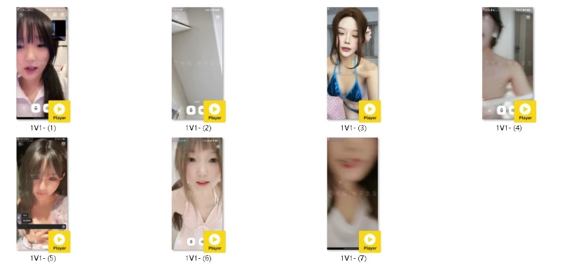 26024329267